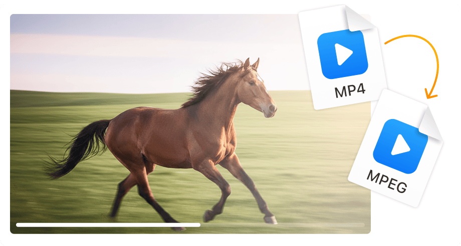 Idealny do autoringu DVD